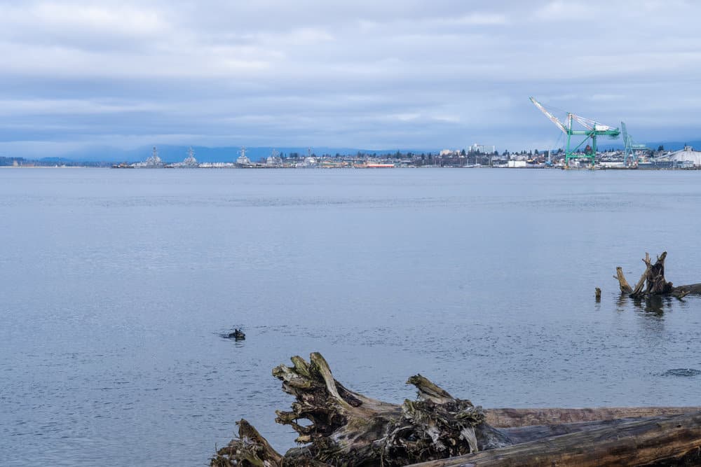 Shoreline of Everett, Washington. Truck accidents can happen at the shipping docks.