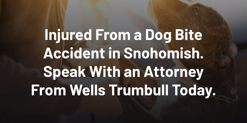 Injured From a Dog Bite Accident in Snohomish. Speak With an Attorney From Wells Trumbull Today.