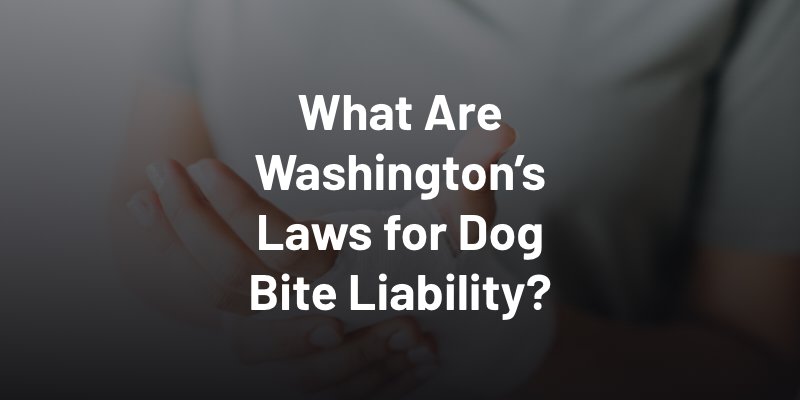 What Are Washington’s Laws for Dog Bite Liability?