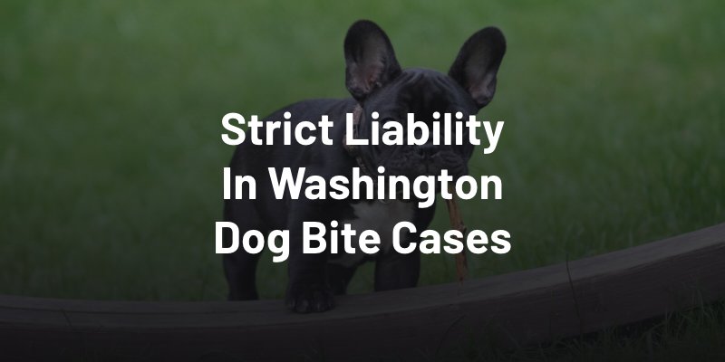 Strict Liability In Washington Dog Bite Cases