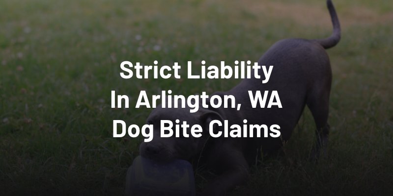 Strict Liability In Arlington, WA Dog Bite Claims