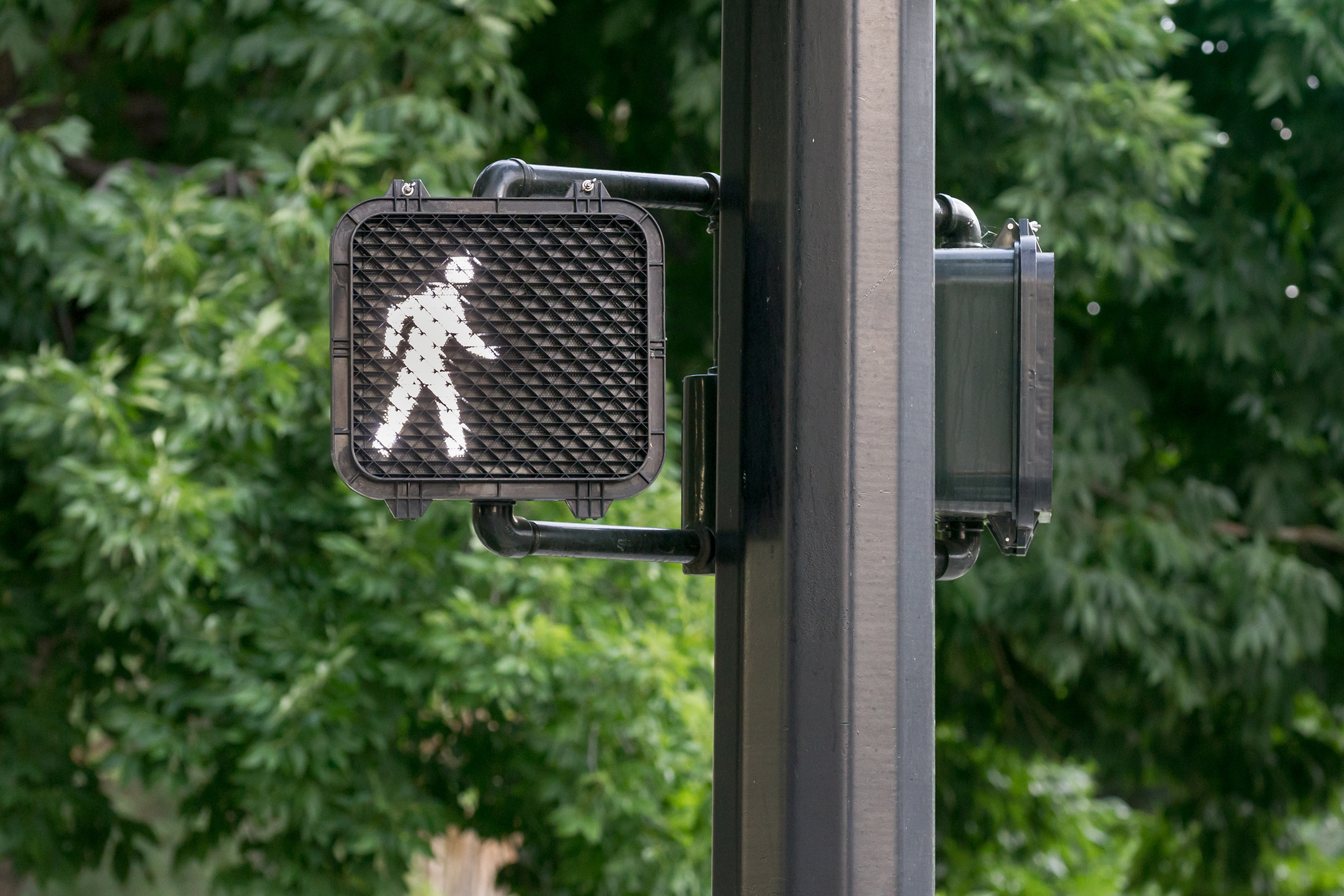 crosswalk pedestrian sign